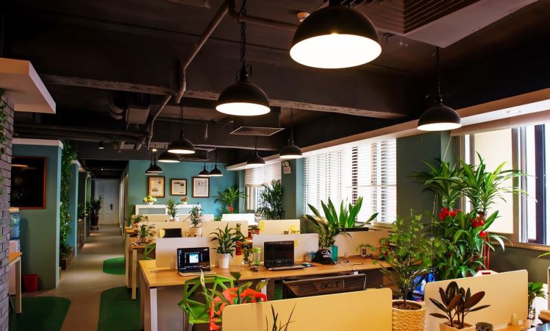 �k���Ҿߵ��x��Ҫ��ѭԭ�t       