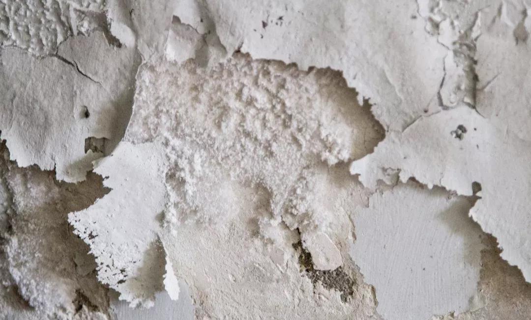 ���泱����ƤÓ����ô̎��